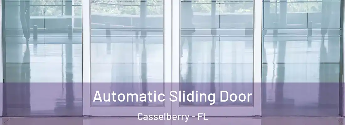 Automatic Sliding Door Casselberry - FL