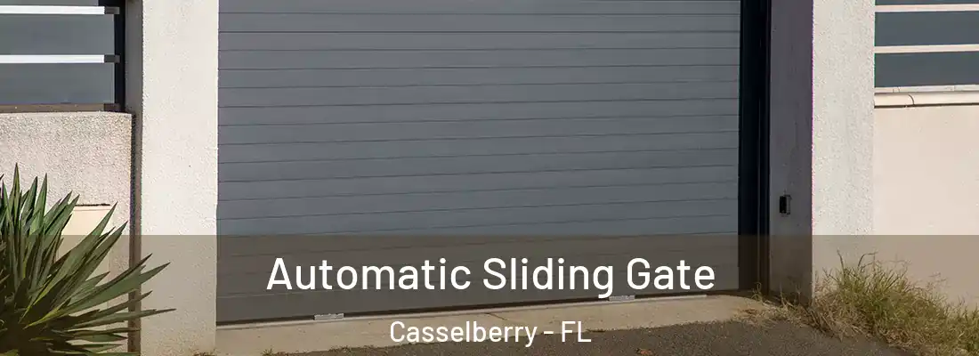  Automatic Sliding Gate Casselberry - FL