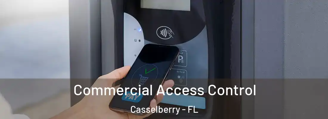 Commercial Access Control Casselberry - FL