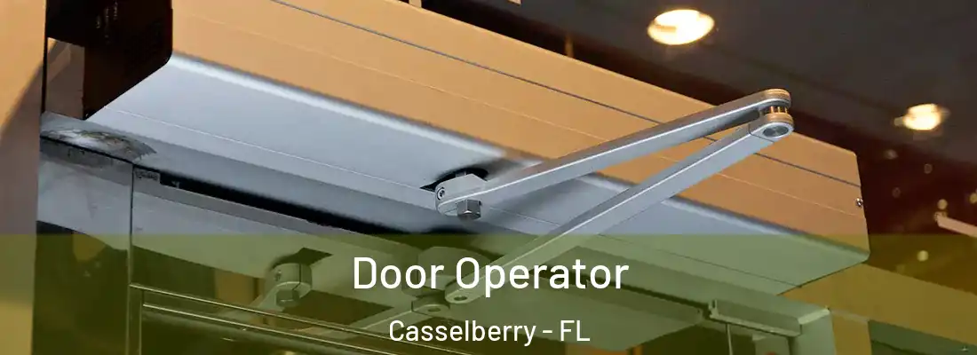  Door Operator Casselberry - FL