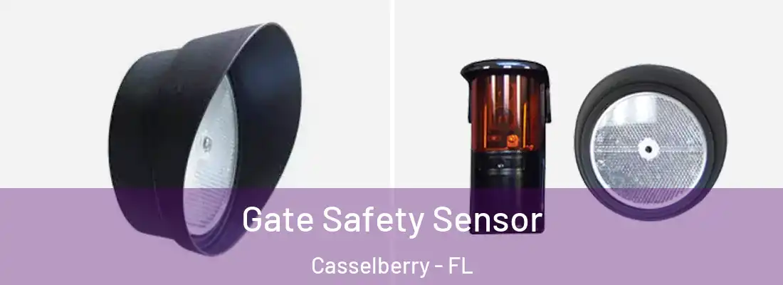 Gate Safety Sensor Casselberry - FL
