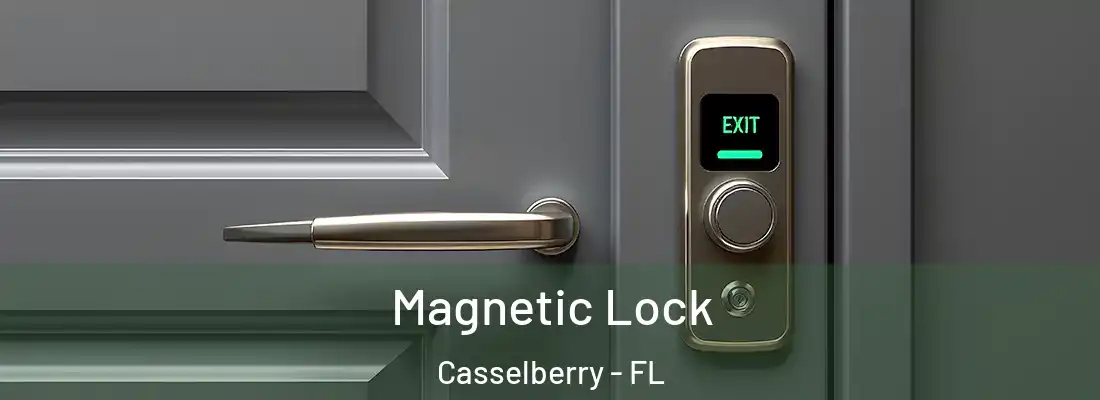Magnetic Lock Casselberry - FL