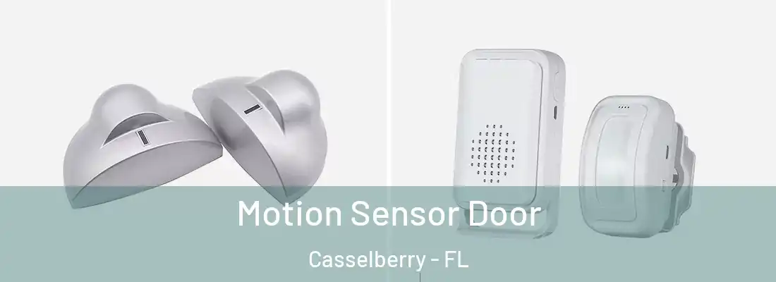 Motion Sensor Door Casselberry - FL