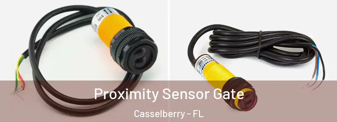  Proximity Sensor Gate Casselberry - FL